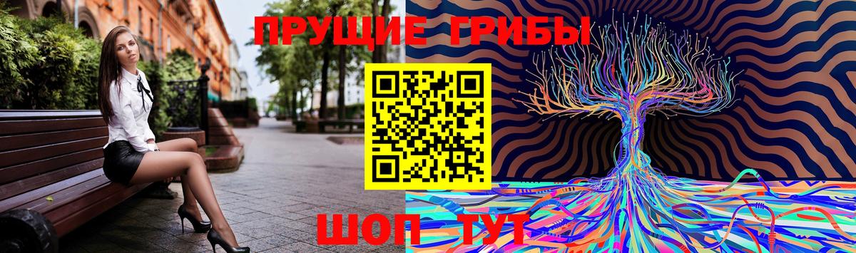 Галлюциногенные грибы мицелий Арсеньев